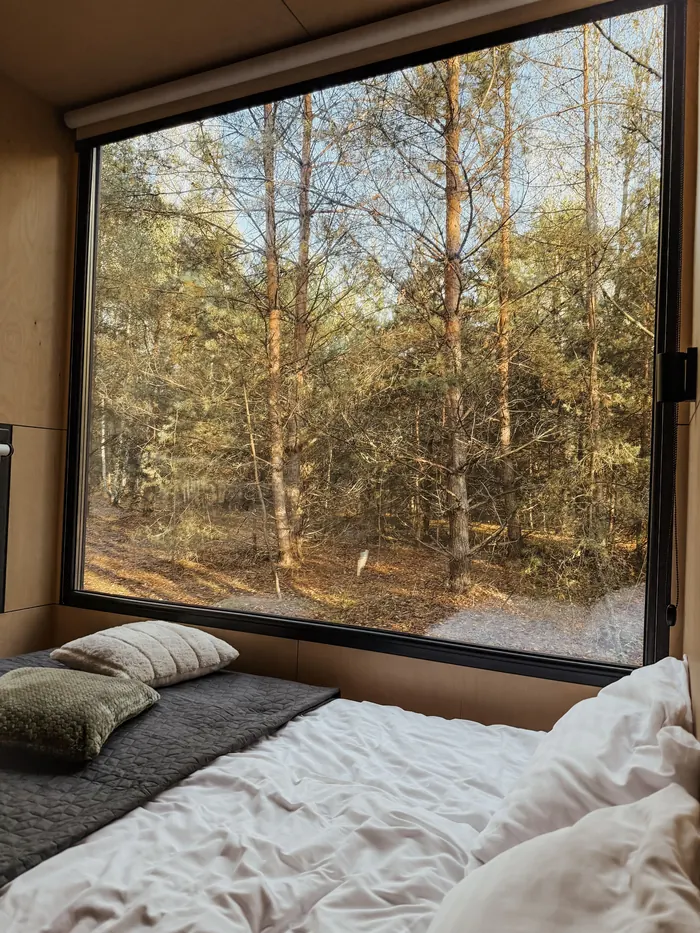 A low bed under a huge picture window looking out into a pine forest.