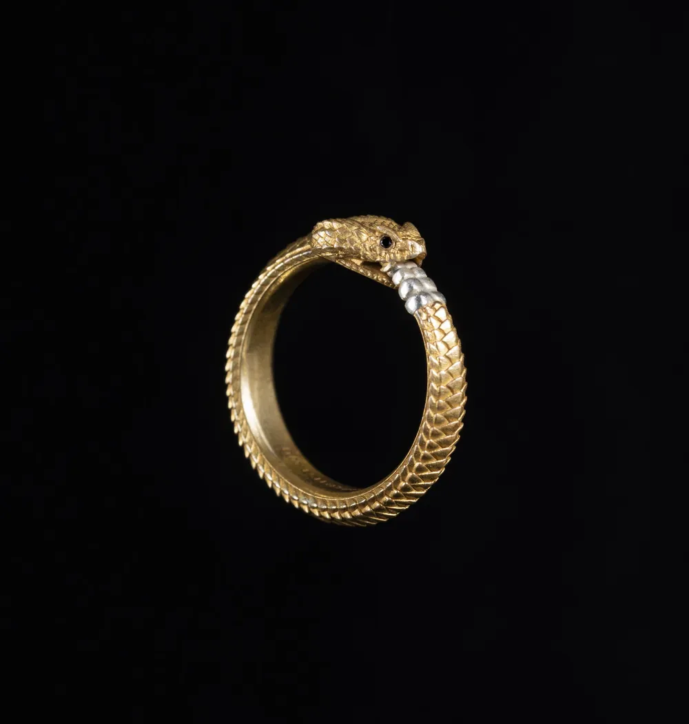 A gold ring shaped like a coiled snake, on black.